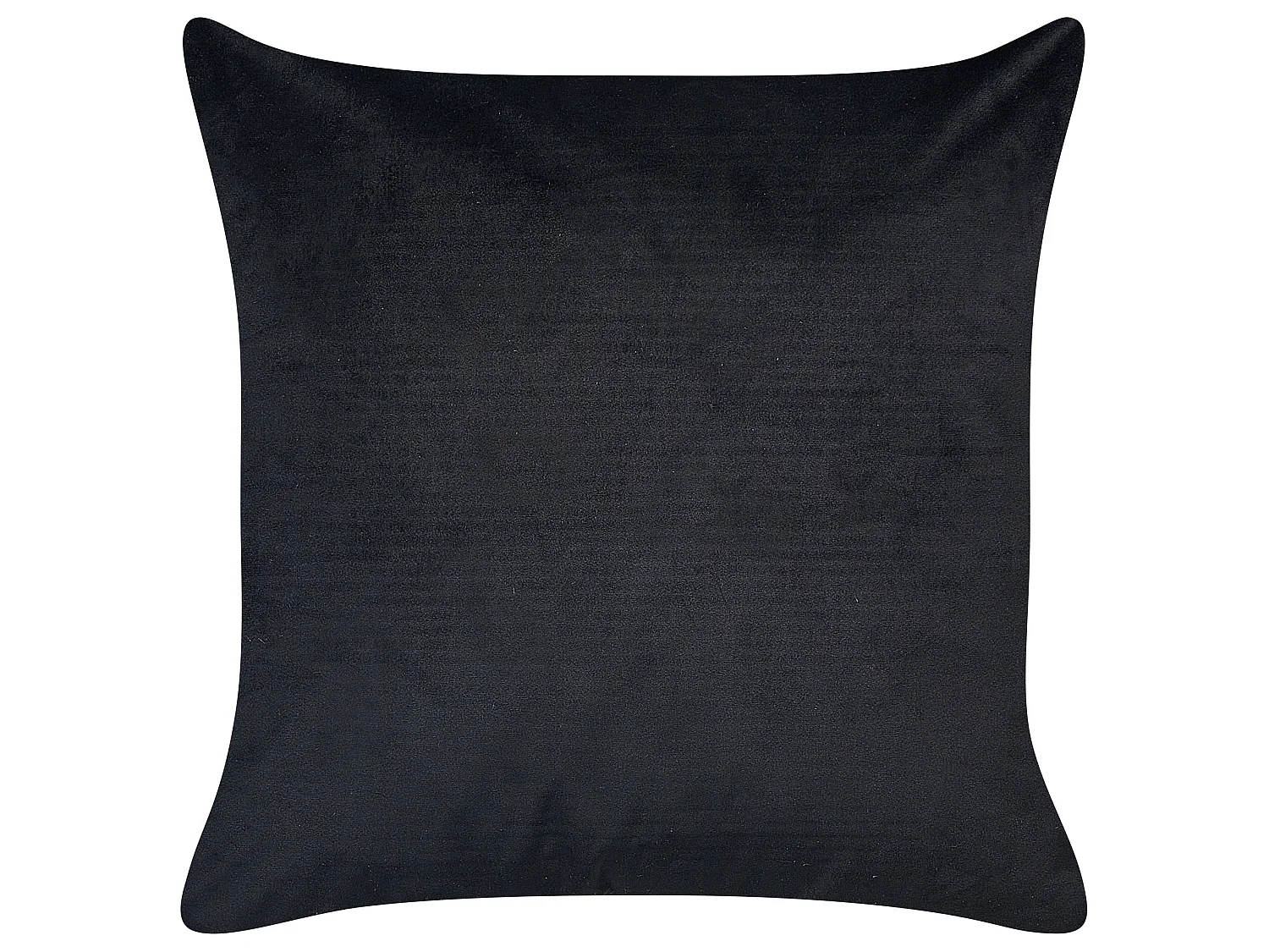 Lot de 2 coussins décoratifs YUZURI Velours 45 x 45 cm Noir Motif animal