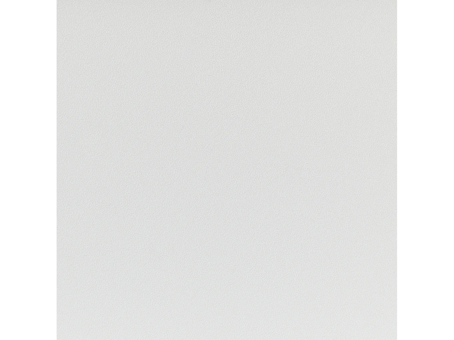 Lot de 2 chaises de salle à manger SHONTO Blanc