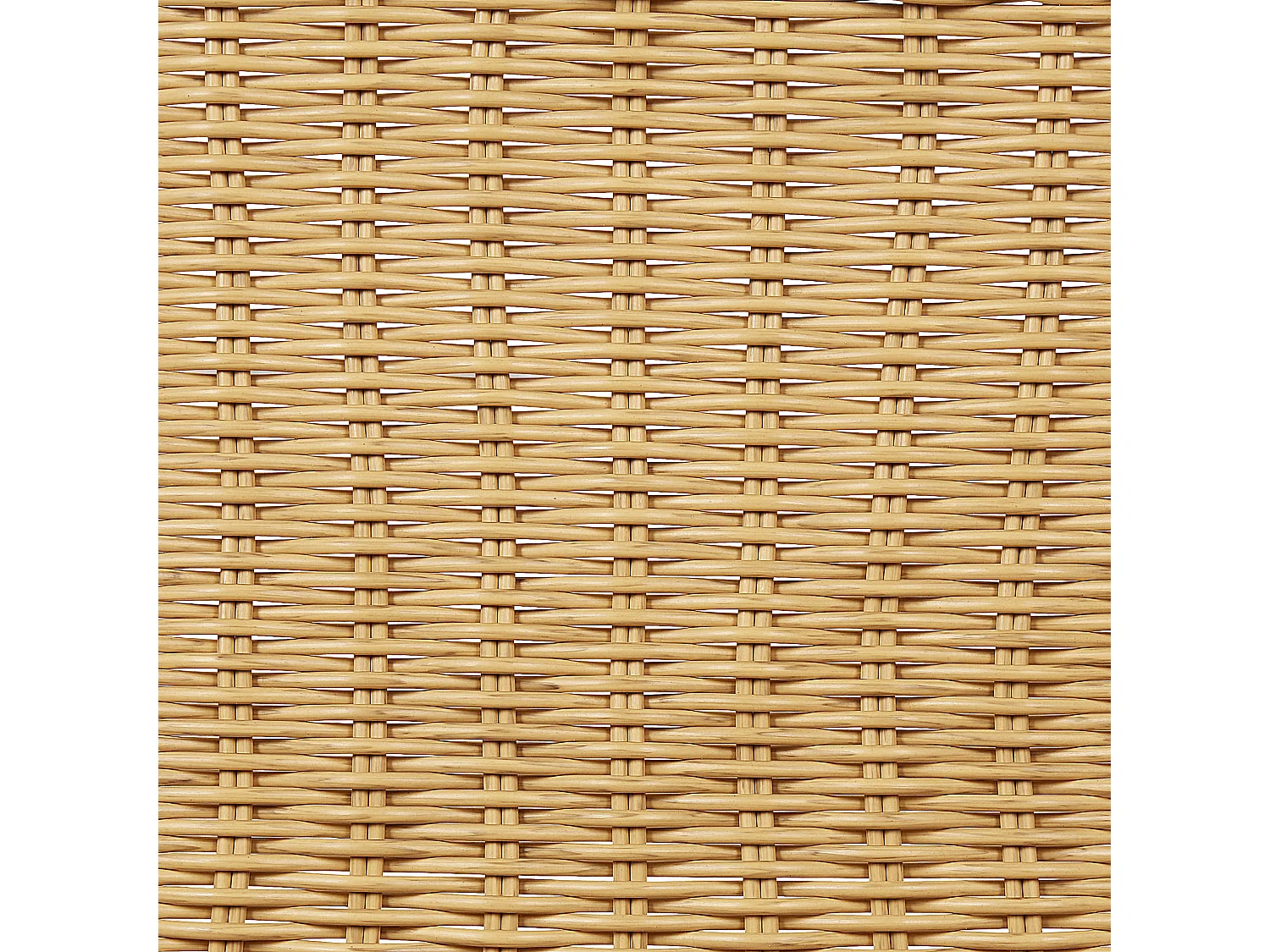 Lot de 2 chaises de jardin PRASIMO Naturel