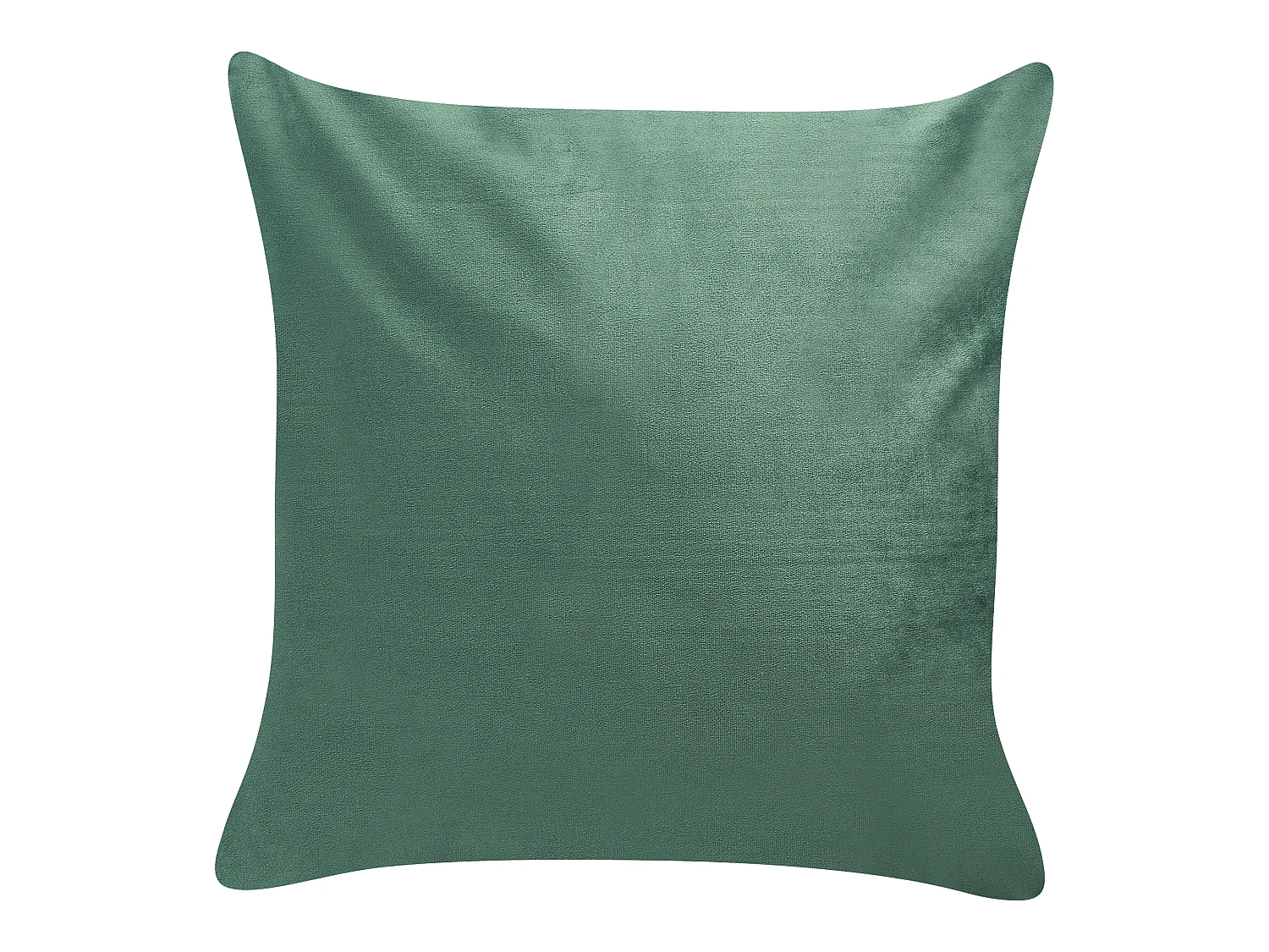 Set van 2 decoratieve kussens TALINUM Fluweel 45 x 45 cm Smaragdgroen Dierenprint