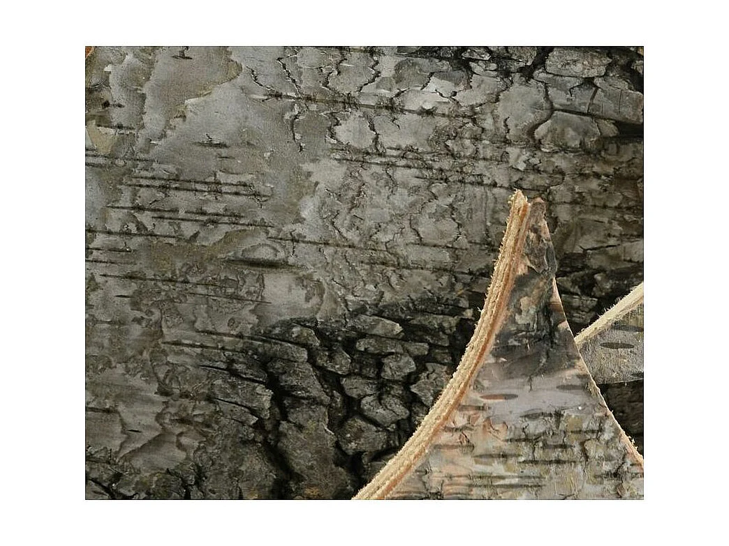 Trio de sapin en bouleau