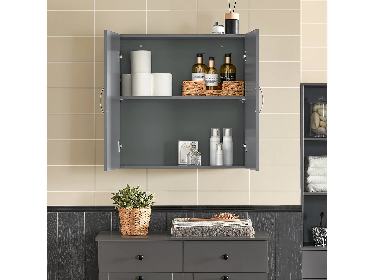 Meuble Haut Armoire de Toilettes Salle de Bain Suspendue 2 Portes Gris, FRG231-DG