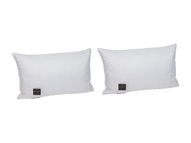 Lot de 2 oreillers JEAN LOUIS SHERRER mémoire de forme 50 x 70 cm SELENE