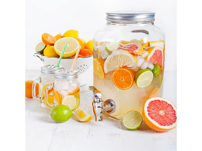 Fontaine A Boisson Verre 4l Transparent, Gris