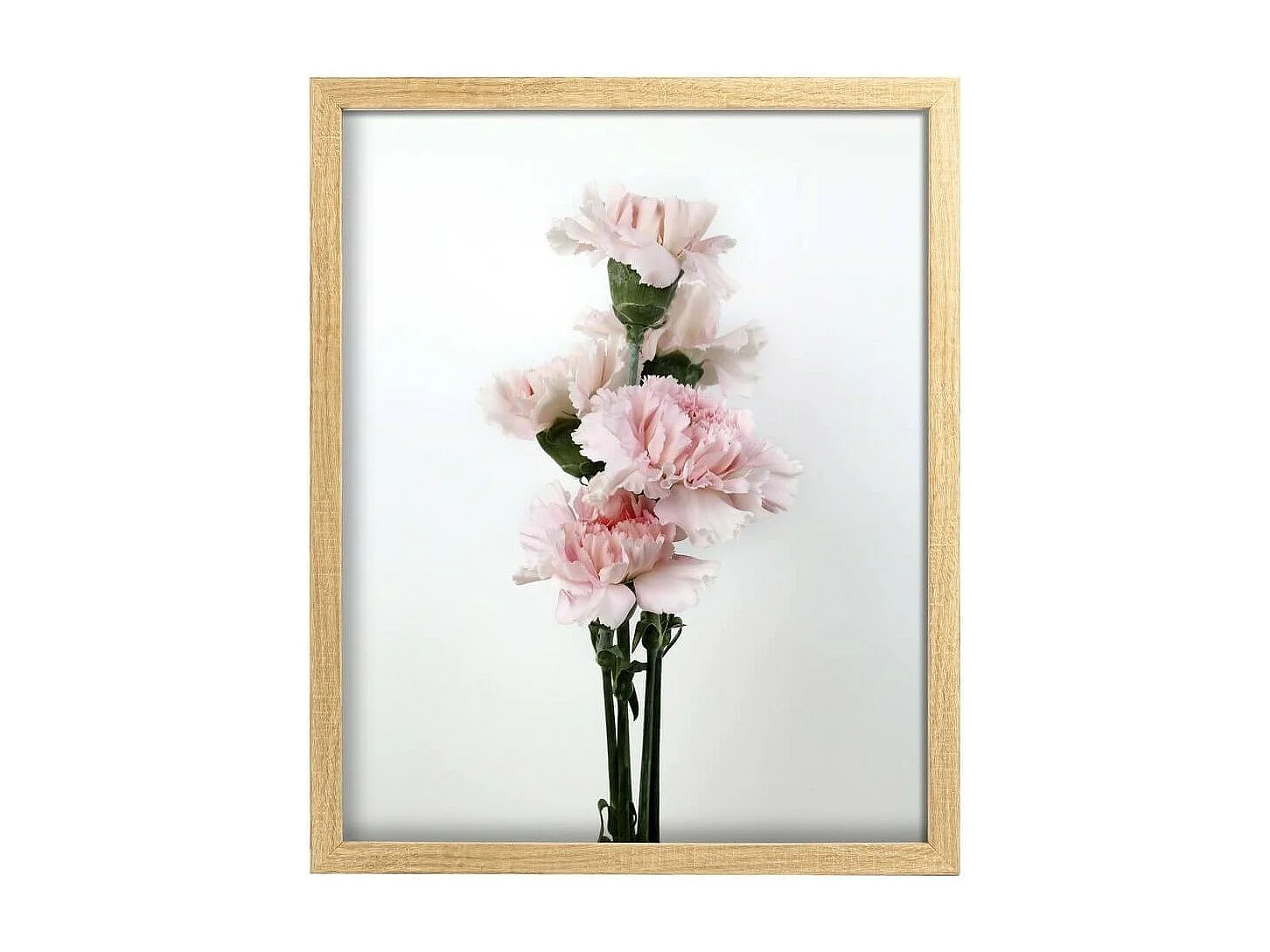 Image encadrée Nature 30x40 cm