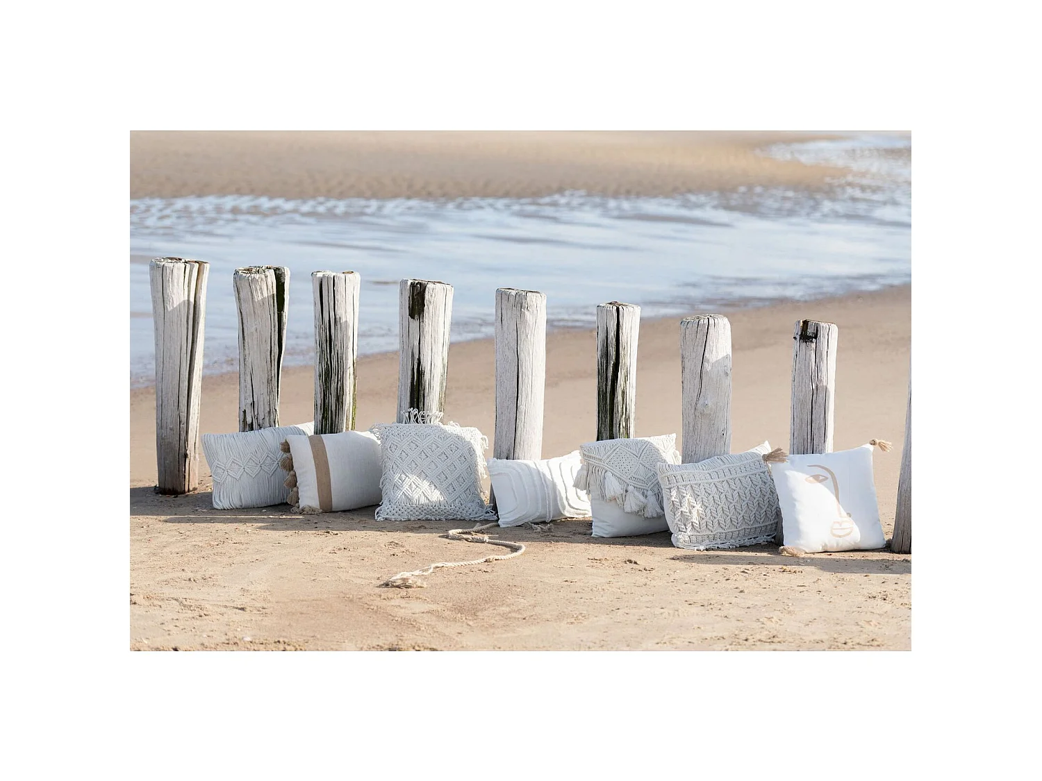 Coussin Ashlandos en Coton