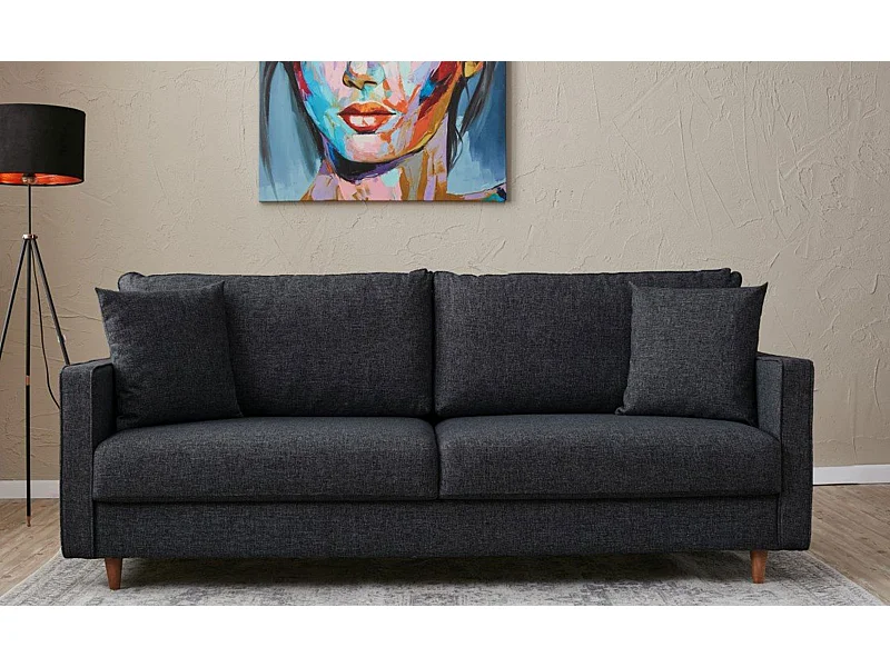 Canapé 3 places moderne Evania Tissu Gris anthracite