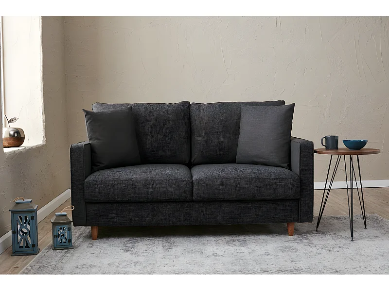 Canapé 2 places moderne Evania Tissu Gris anthracite