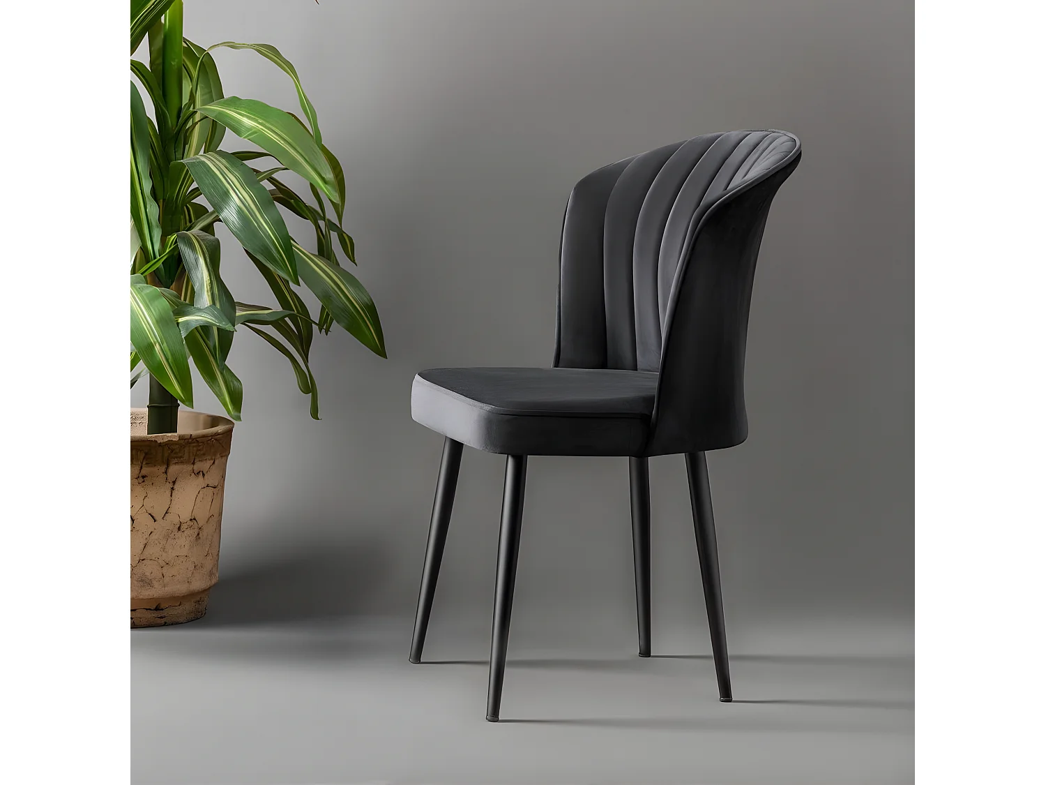 Stuhlset (2 Stück) - Black