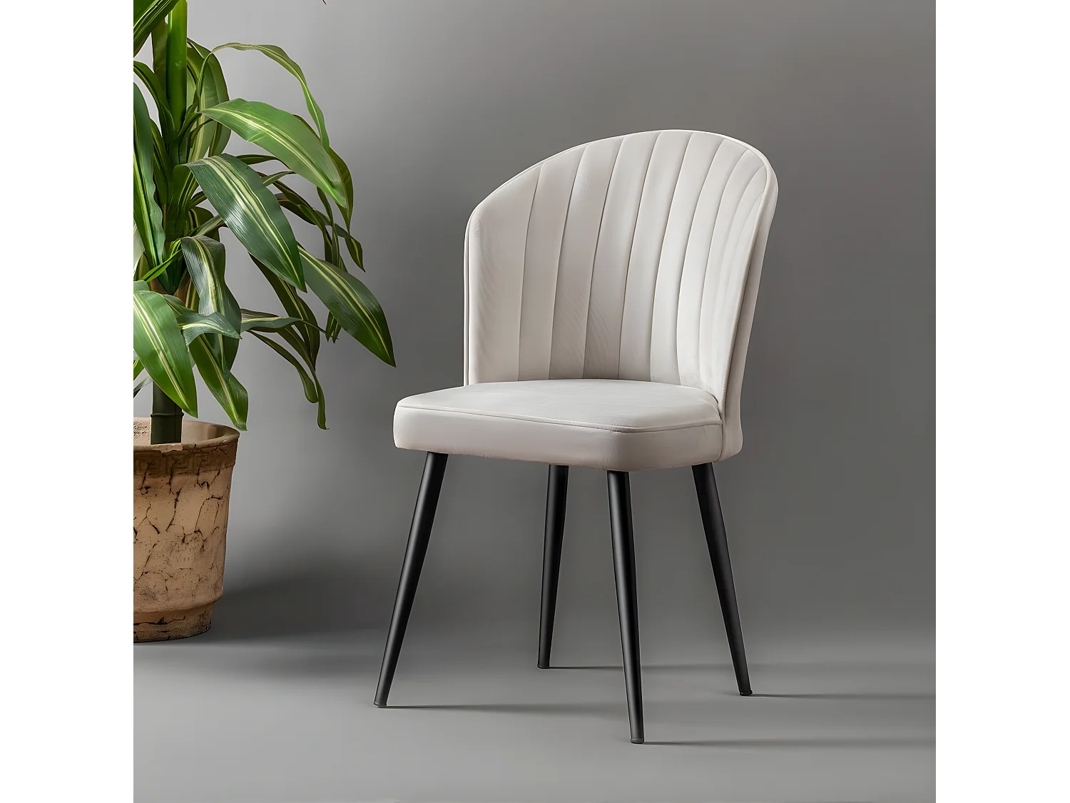 Stuhlset (2 Stück) - Cream