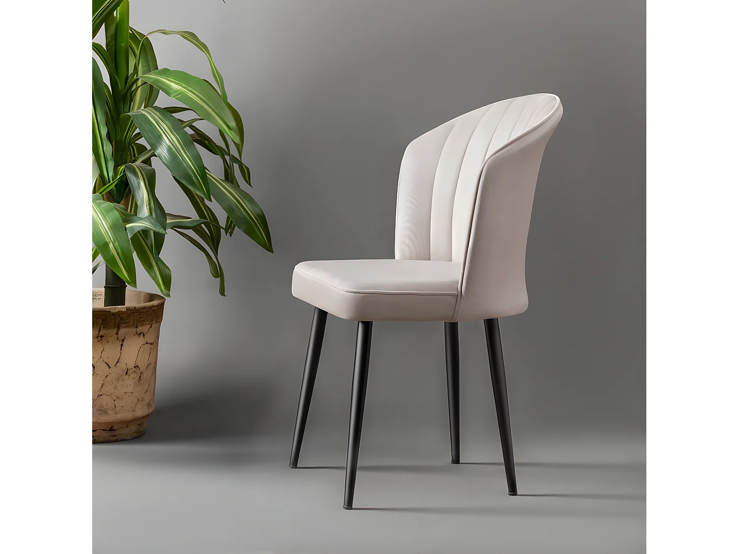 Stuhlset (2 Stück) - Cream