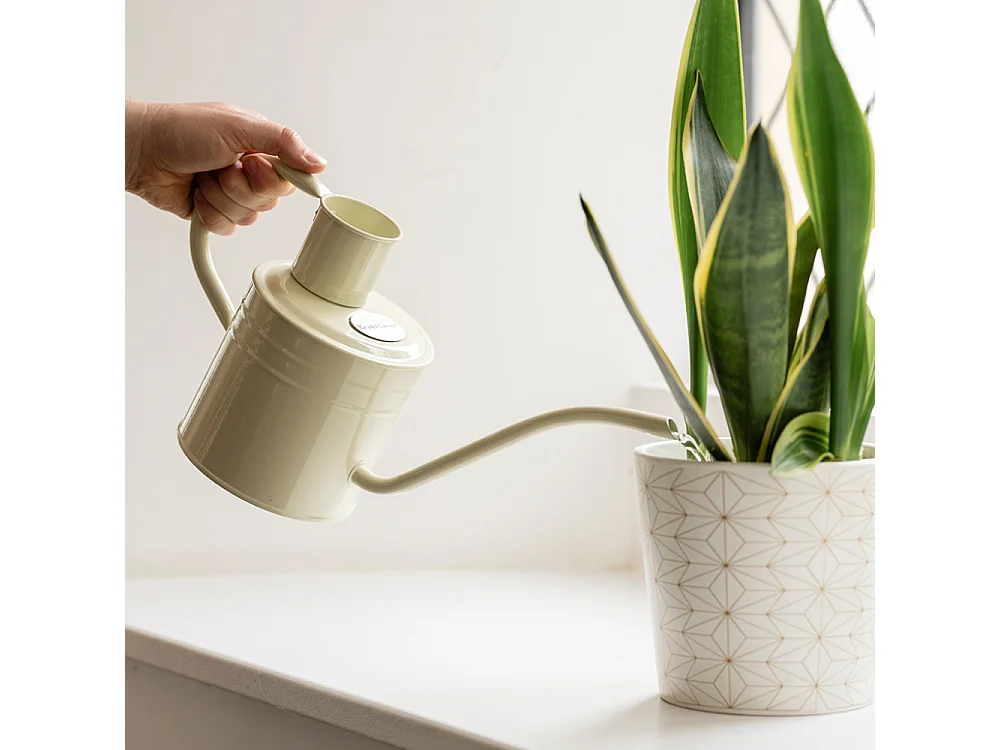 Arrosoir en acier galvanisé 1 litre