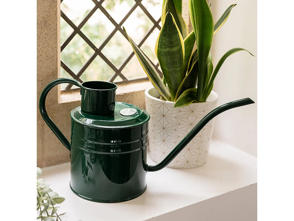 Arrosoir en acier galvanisé 2 litres