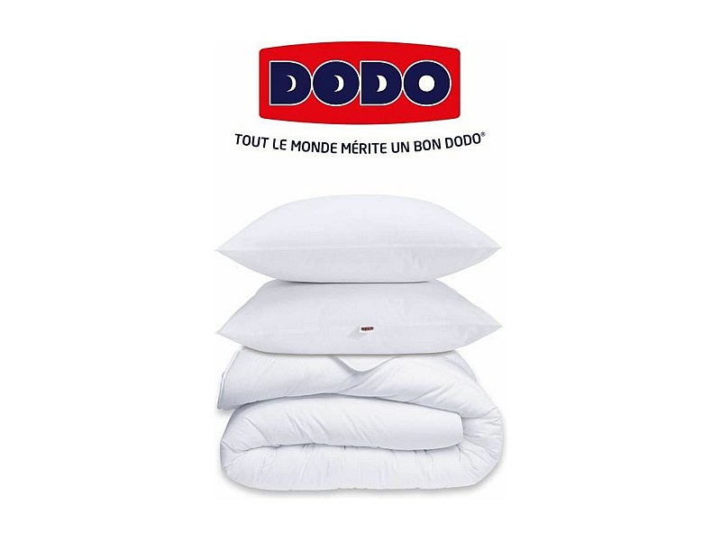 Pack Protection : Couette 220x240 cm + Taie d'oreiller + 1 Protege ...