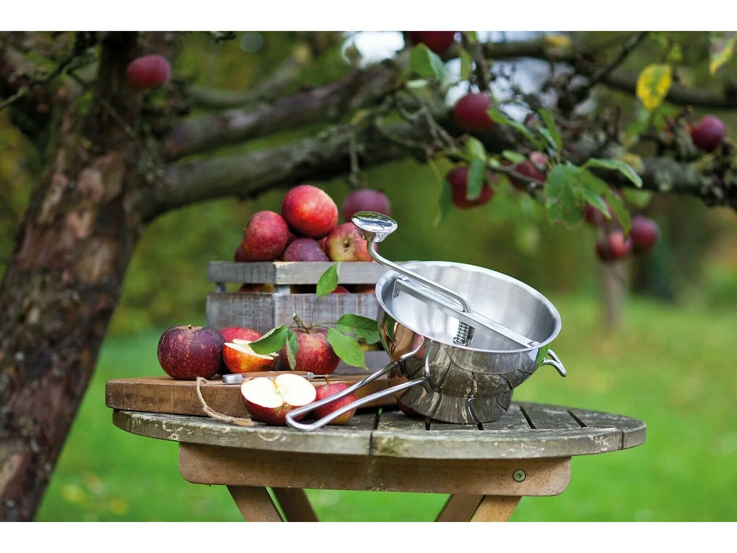 Flotte Lotte Moulinette