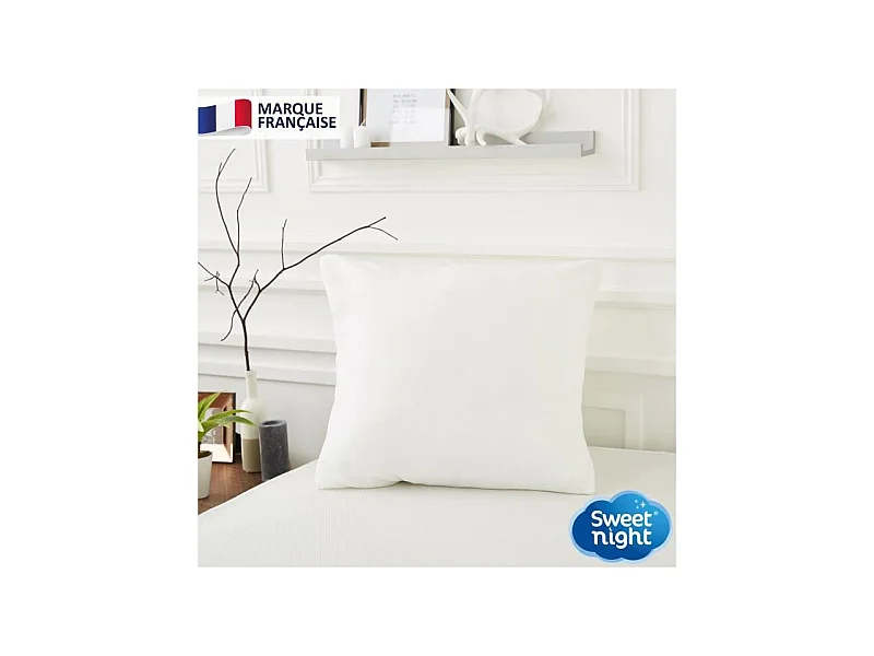 Housse intégrale anti punaise de lit et anti-acariens pour oreiller - Blanc 65 x 65 cm