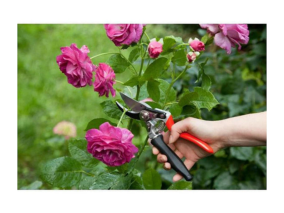 Sécateur OGAT - Coupe franche - Poignée tournante - 3 pos. d'ouverture