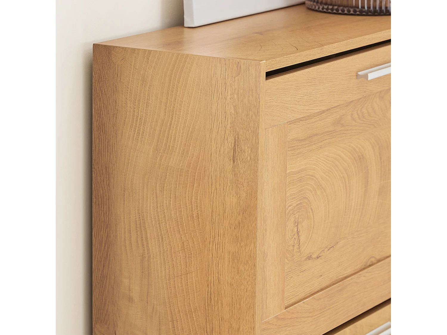 Meuble à Chaussures Armoire à Chaussures Commode à Chaussures avec 2 Abattants, FSR137-N