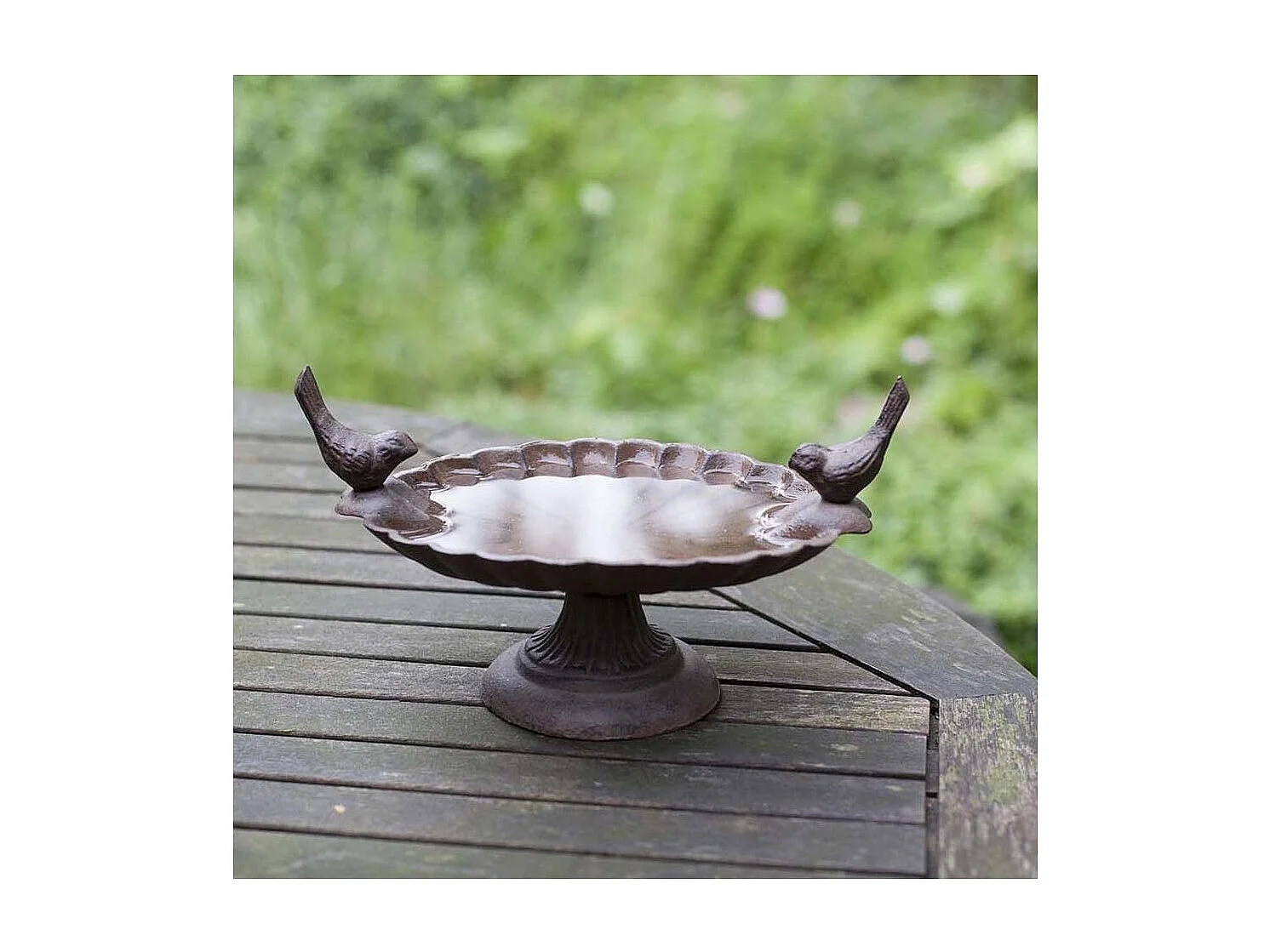 Bandeja de semillas de hierro fundido con pájaros decorativos