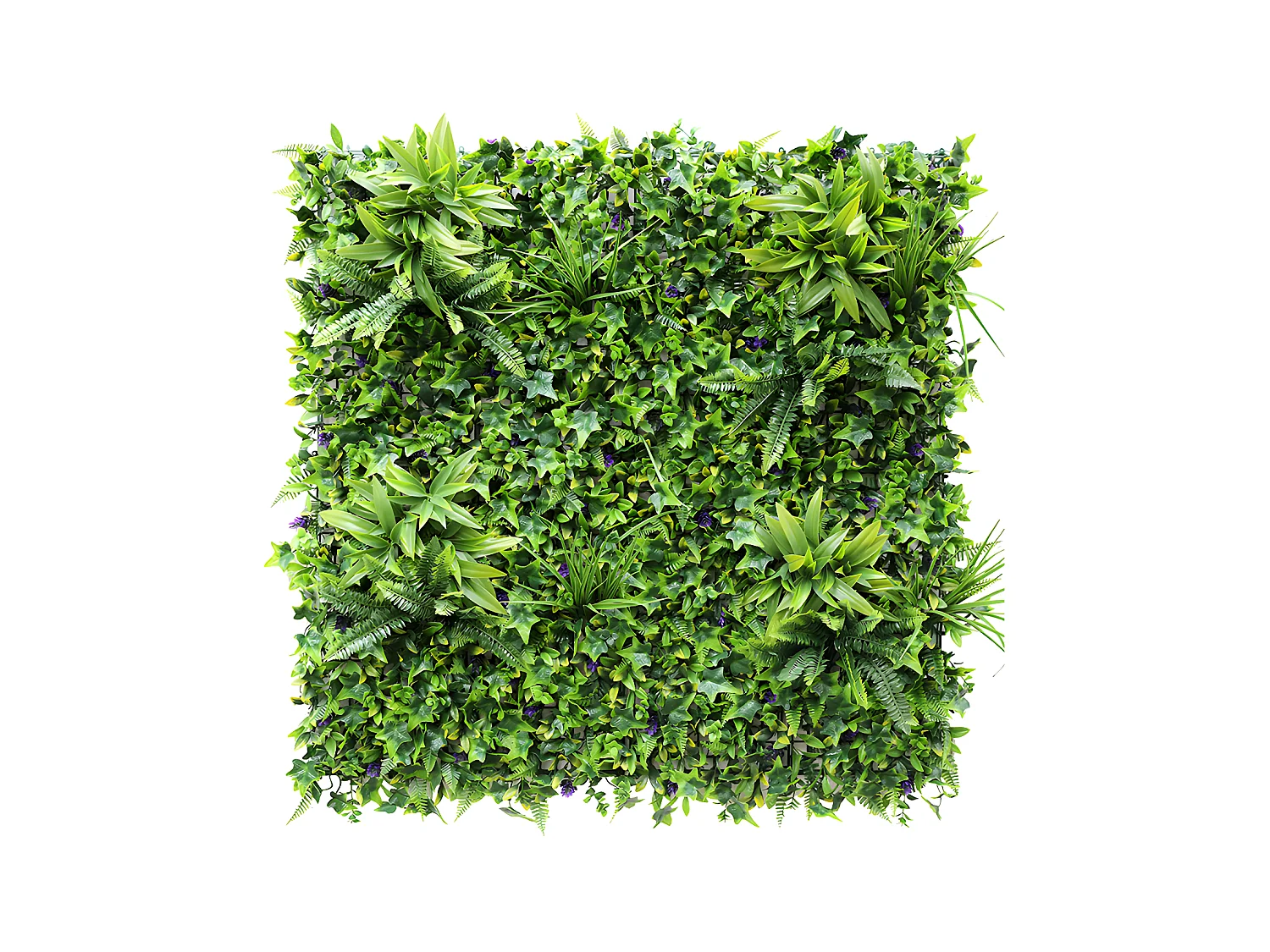 Plantenwand MATCHA - Set van 1 m² - Groen