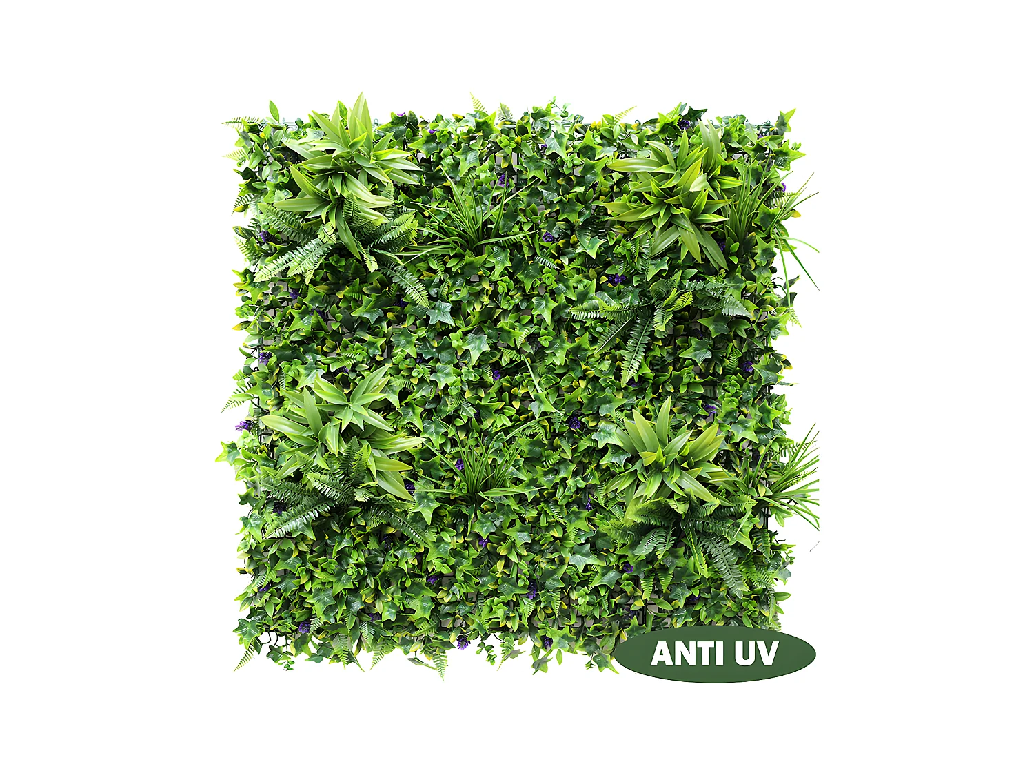 Plantenwand MATCHA - Set van 1 m² - Groen