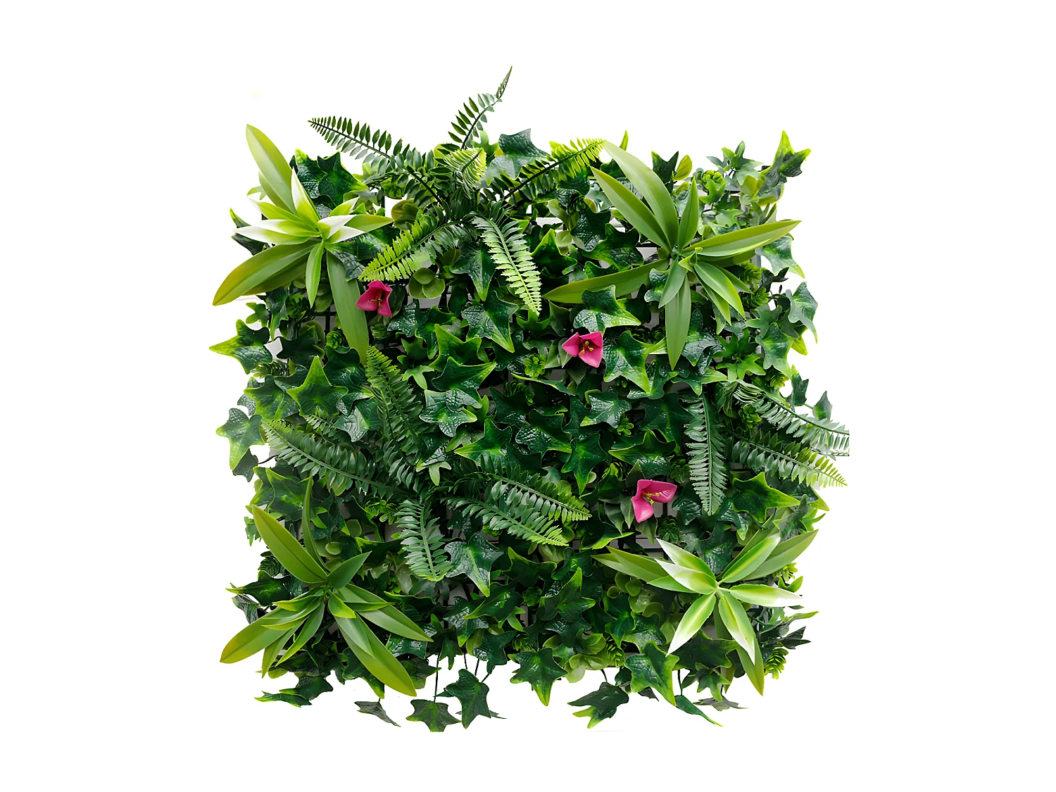 Plantenwand IKAZ - Set van 1 m² - Groen