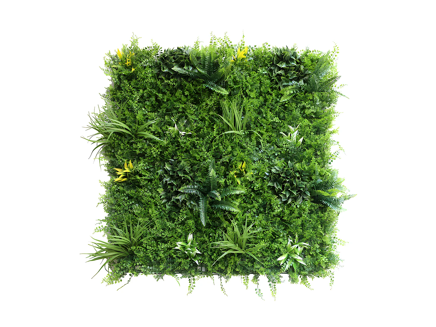 Plantenwand NEWRY - Set van 1 m² - Groen