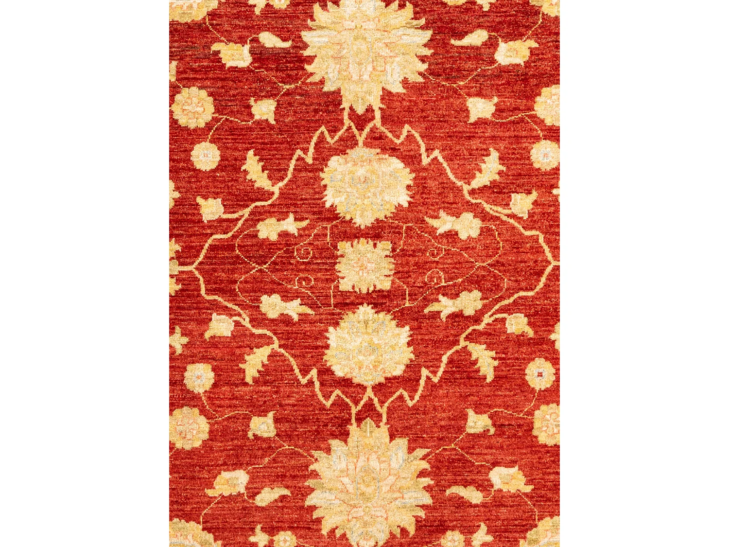 Tappeto in lana 245x257 rosso Ziegler