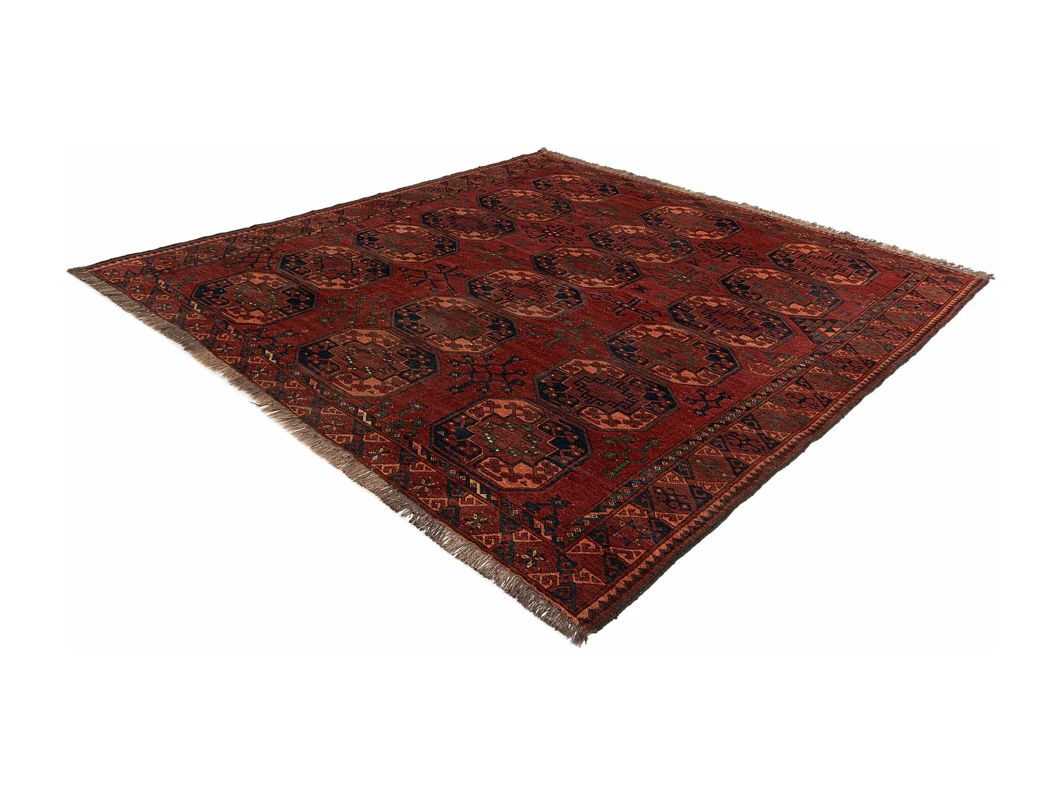 Woltapijt 264x254 Rood Afghan