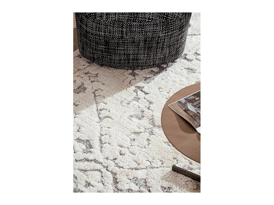 Tapijt 220x160 Lichtgrijs Vevey