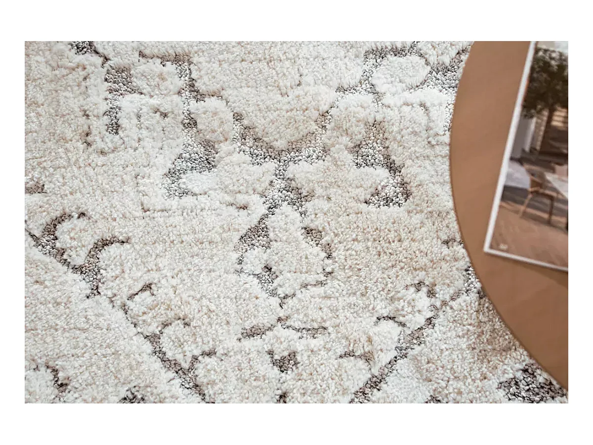 Tapijt 220x160 Lichtgrijs Vevey