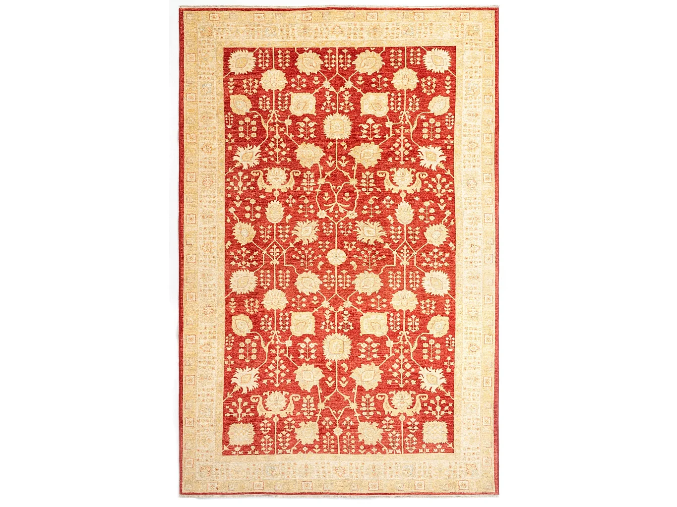 Woltapijt 327x211 Rood Kaizar