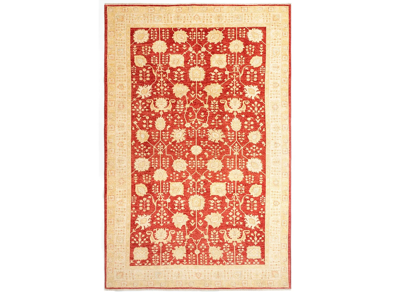 Woltapijt 327x211 Rood Kaizar