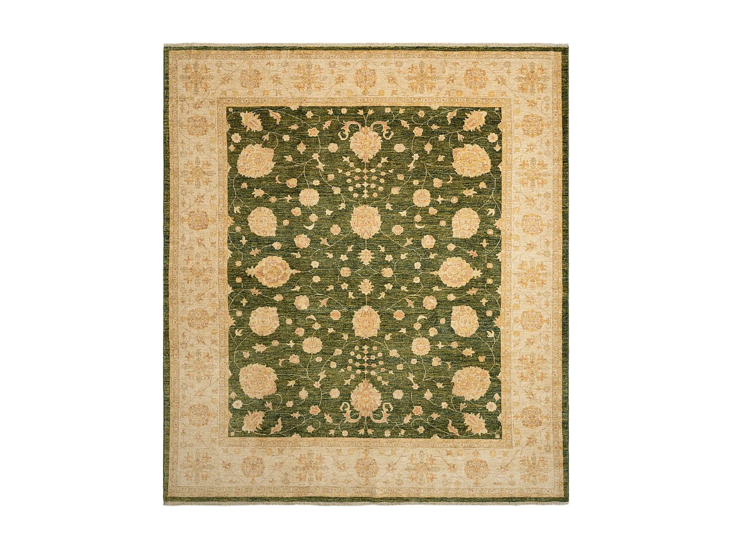 Woltapijt 284x252 Groen Kaizar