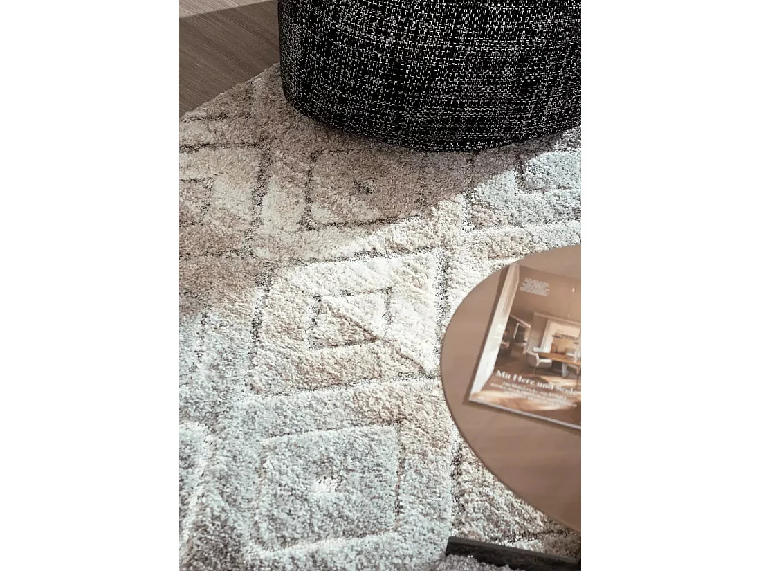 Tapis 240x300 gris clair Vevey