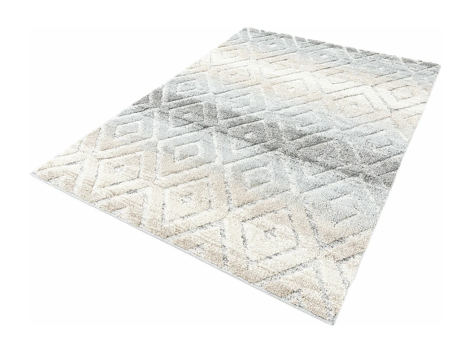 Tapis 240x300 gris clair Vevey