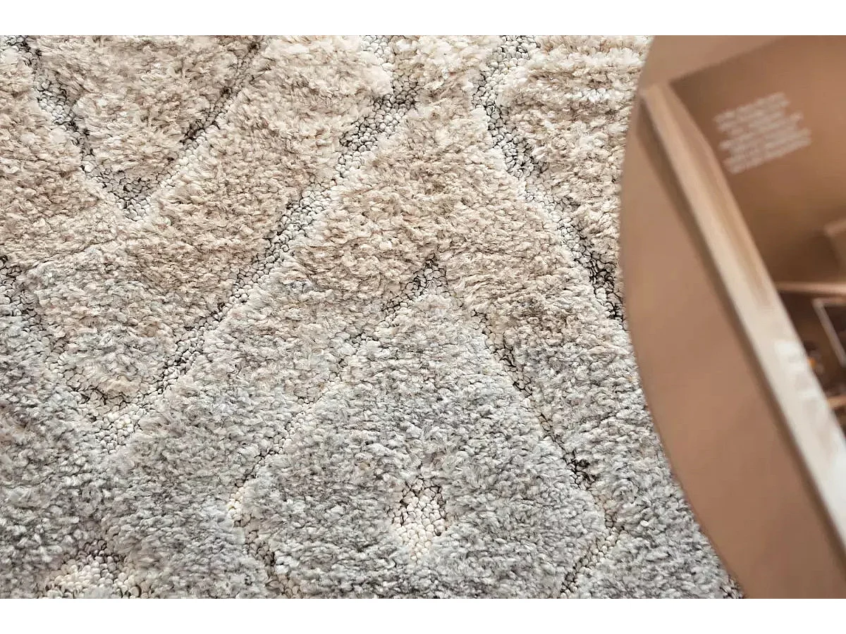 Tapis 240x300 gris clair Vevey