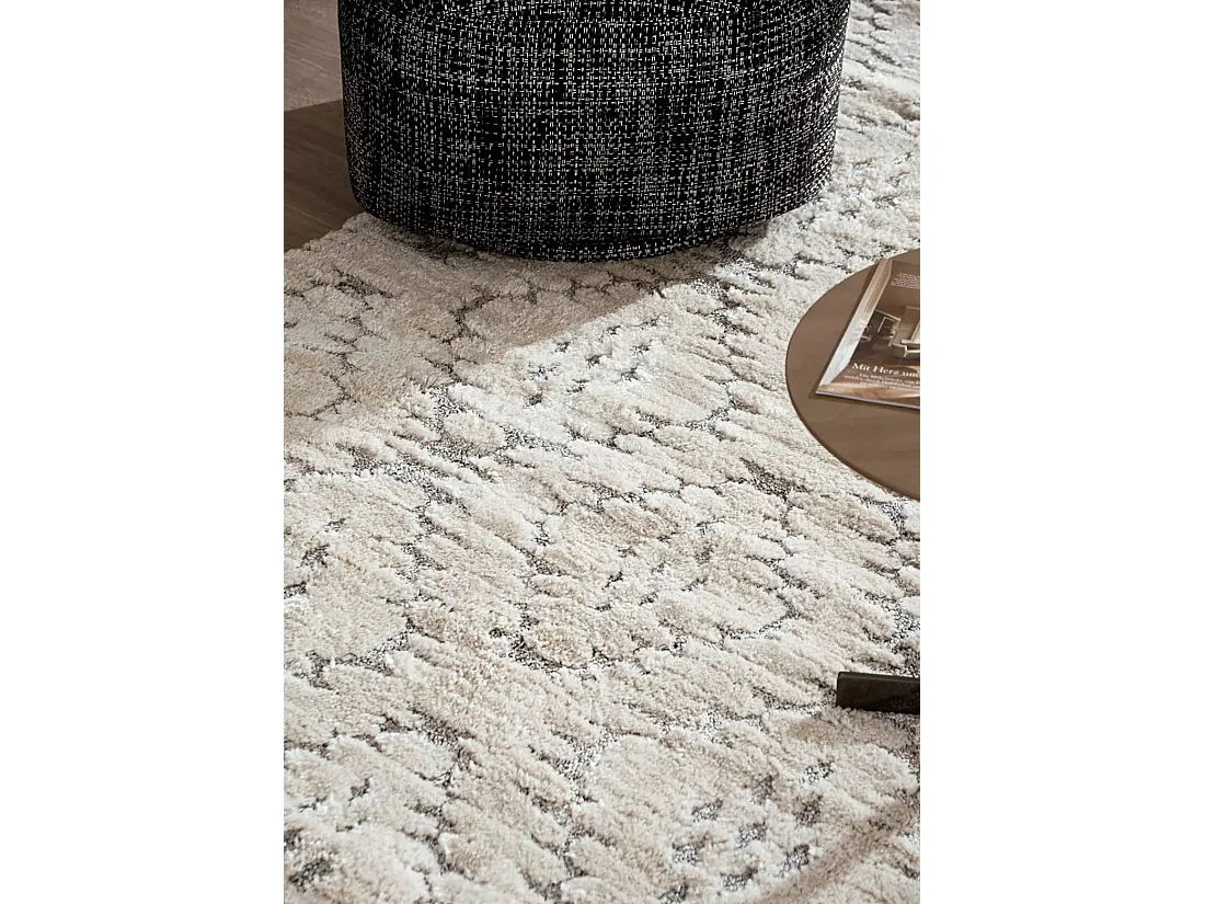 Tapis 160x220 gris clair Vevey