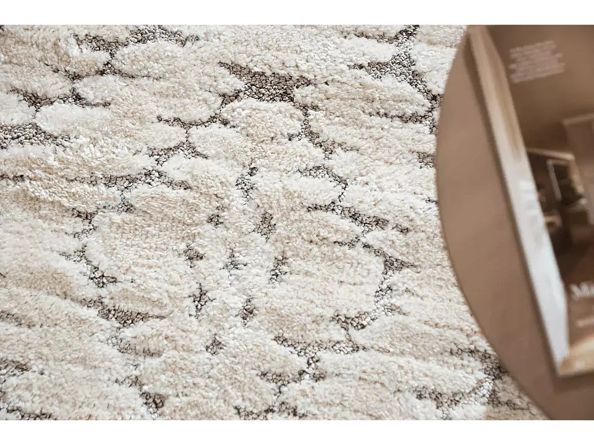 Tapis 160x220 gris clair Vevey