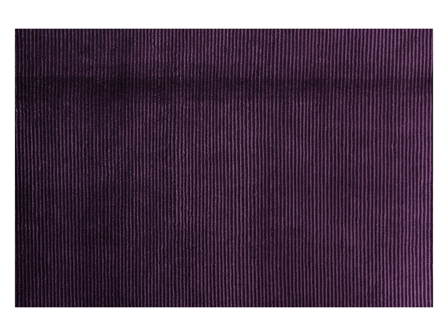 Woltapijt 239x170 Paars Darya