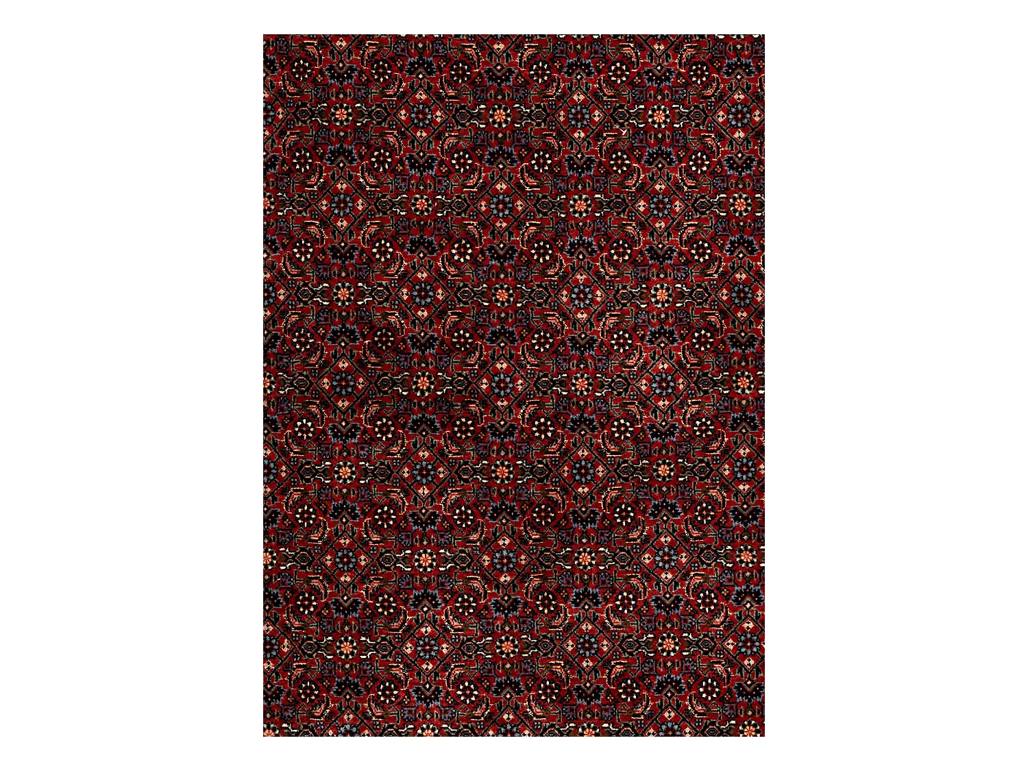 Tapis de laine 202x253 rouge Bidjar