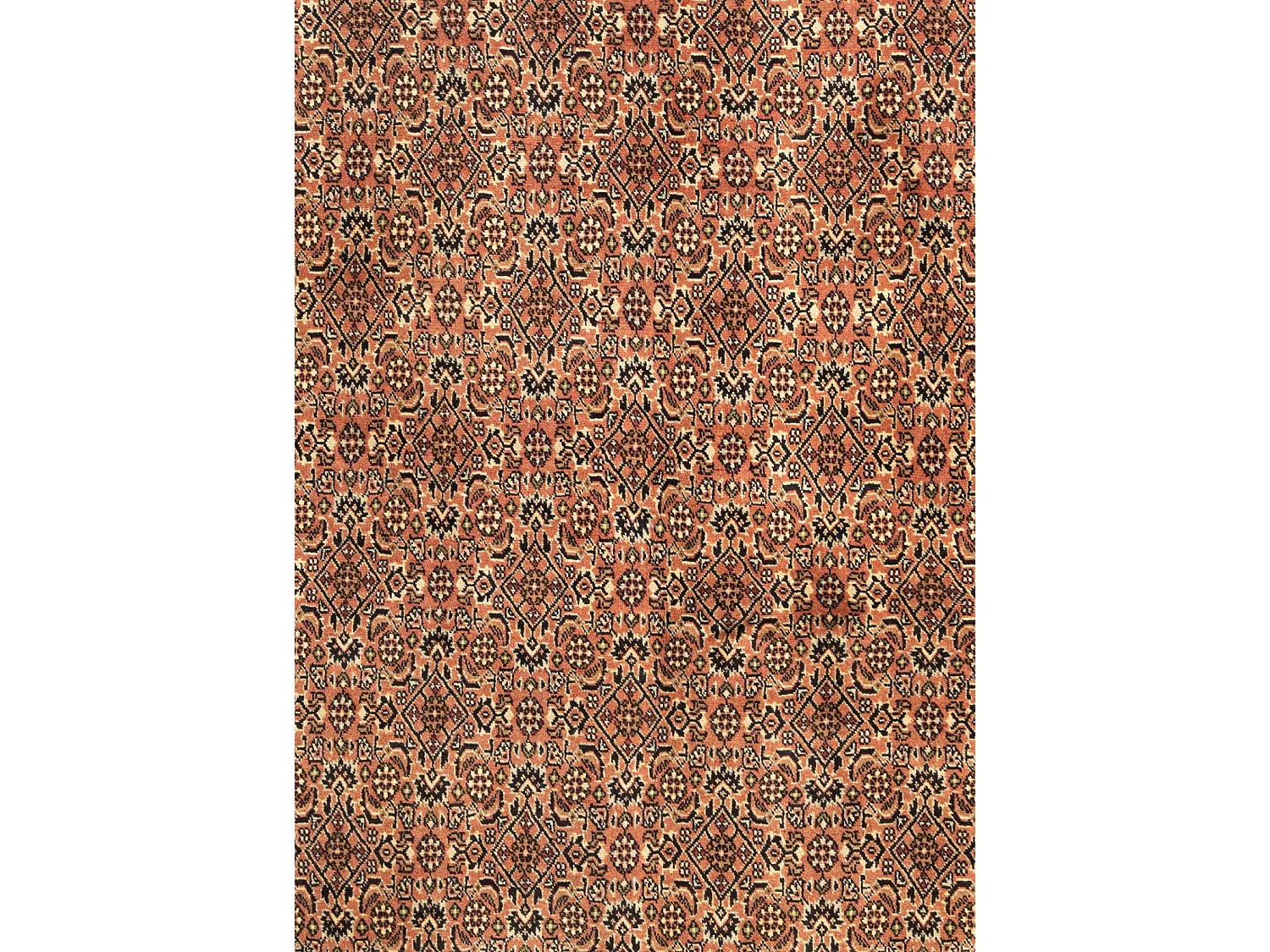 Woltapijt 256x176 Roze Bidjar