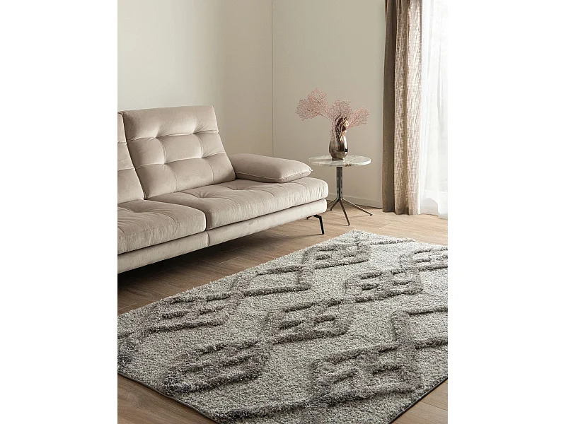 Tapis shaggy 240x305 gris Thun Tribus