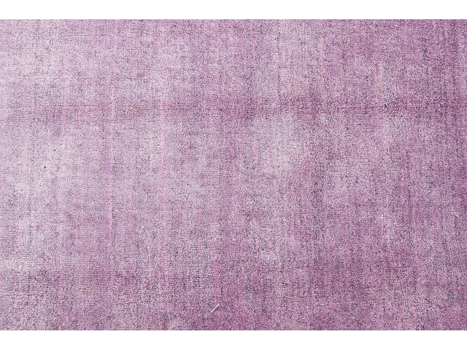 Tappeto in lana 170x236 Viola Darya