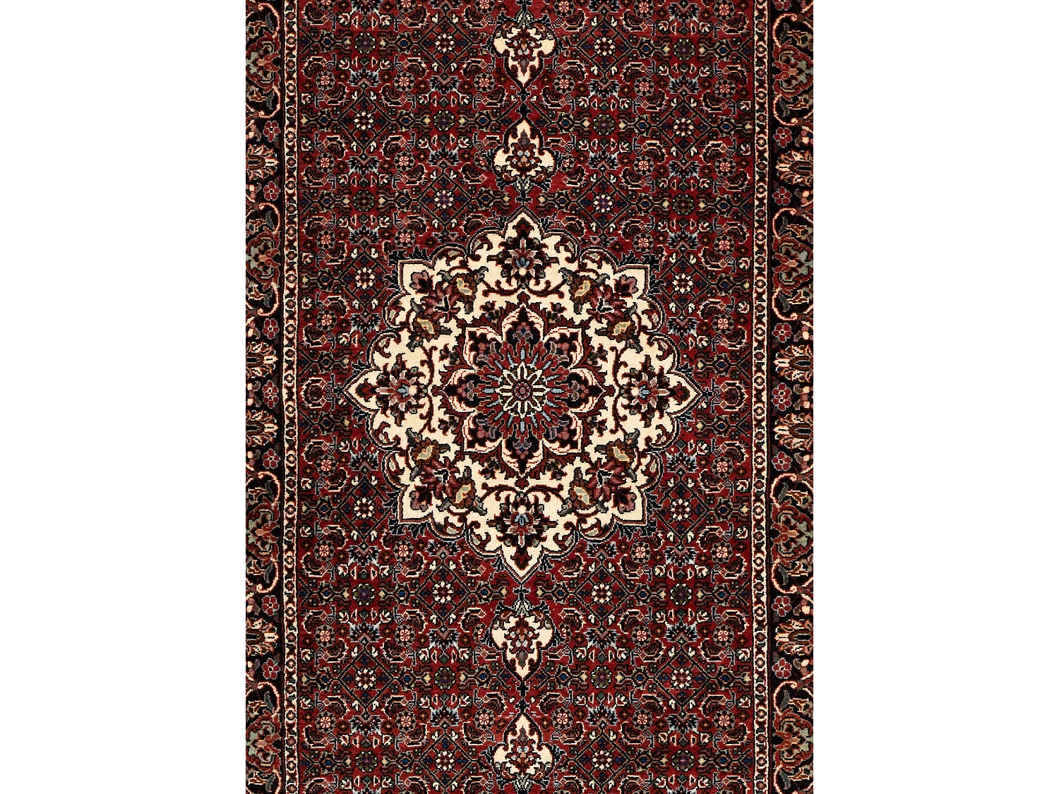 Tapis de couloir en laine 74x274 rouge Bidjar
