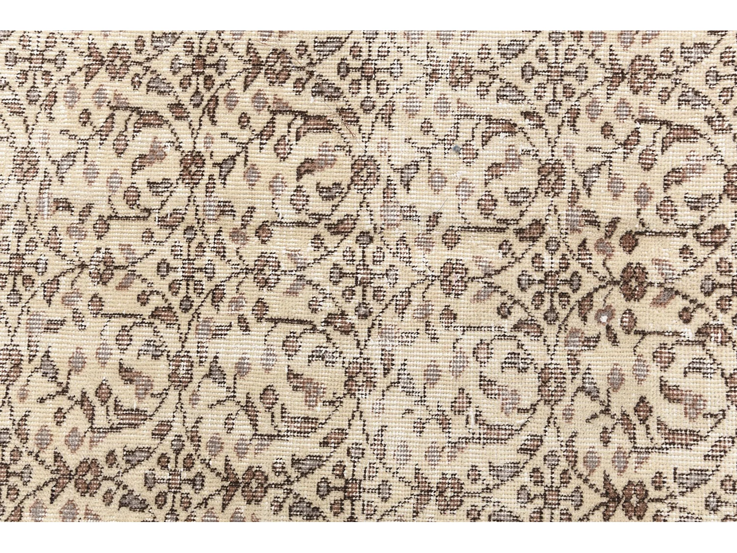 Woltapijt 272x163 Beige Ultra Vintage