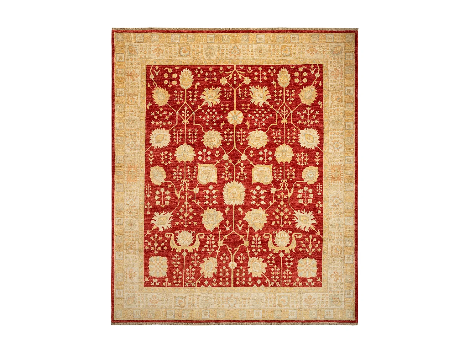 Woltapijt 293x250 Rood Kaizar