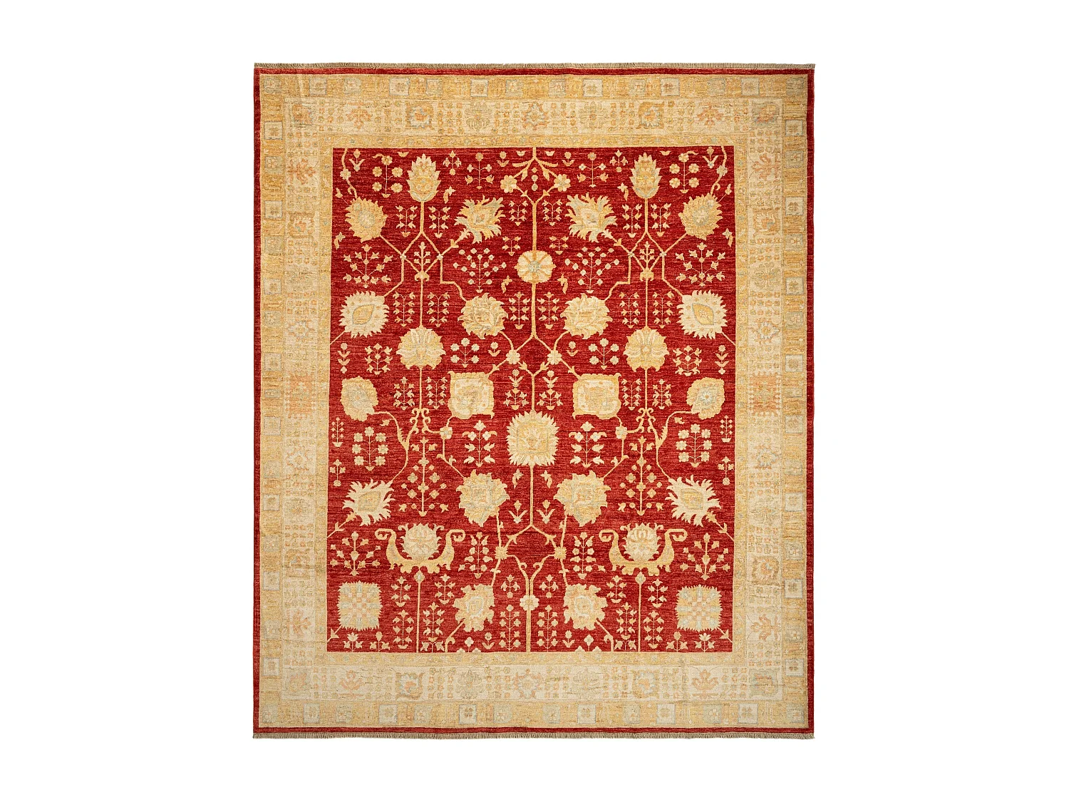 Woltapijt 293x250 Rood Kaizar