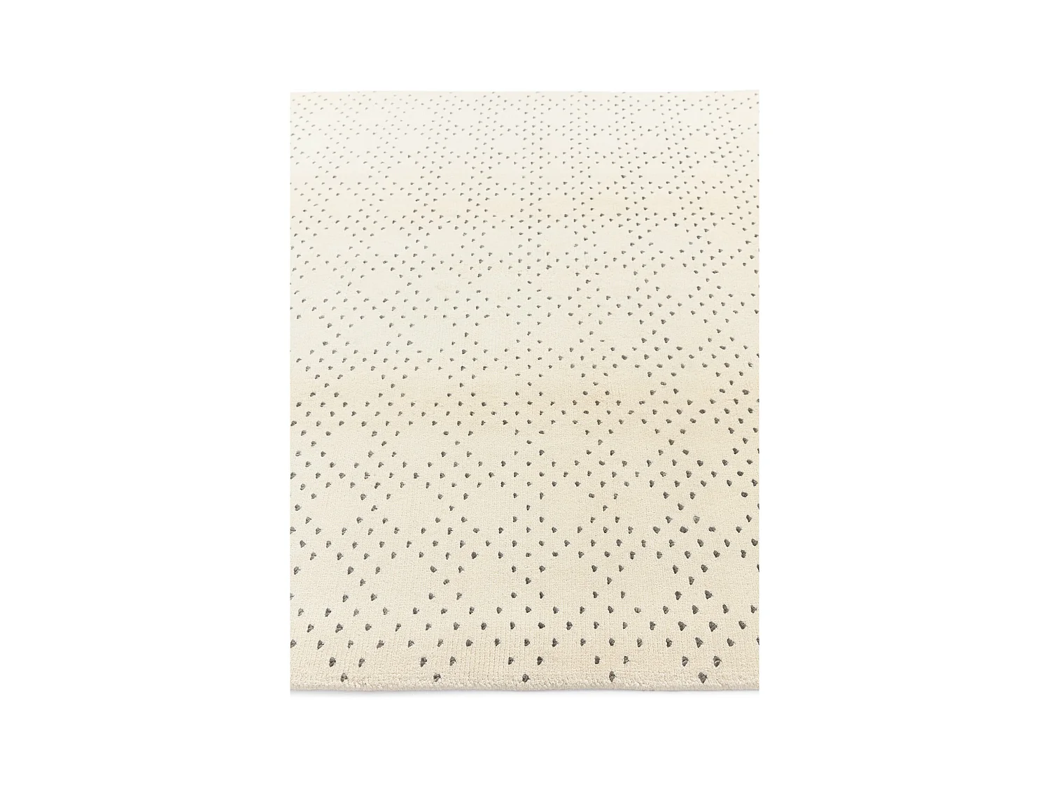 Tapis de laine 170x241 beige Darya