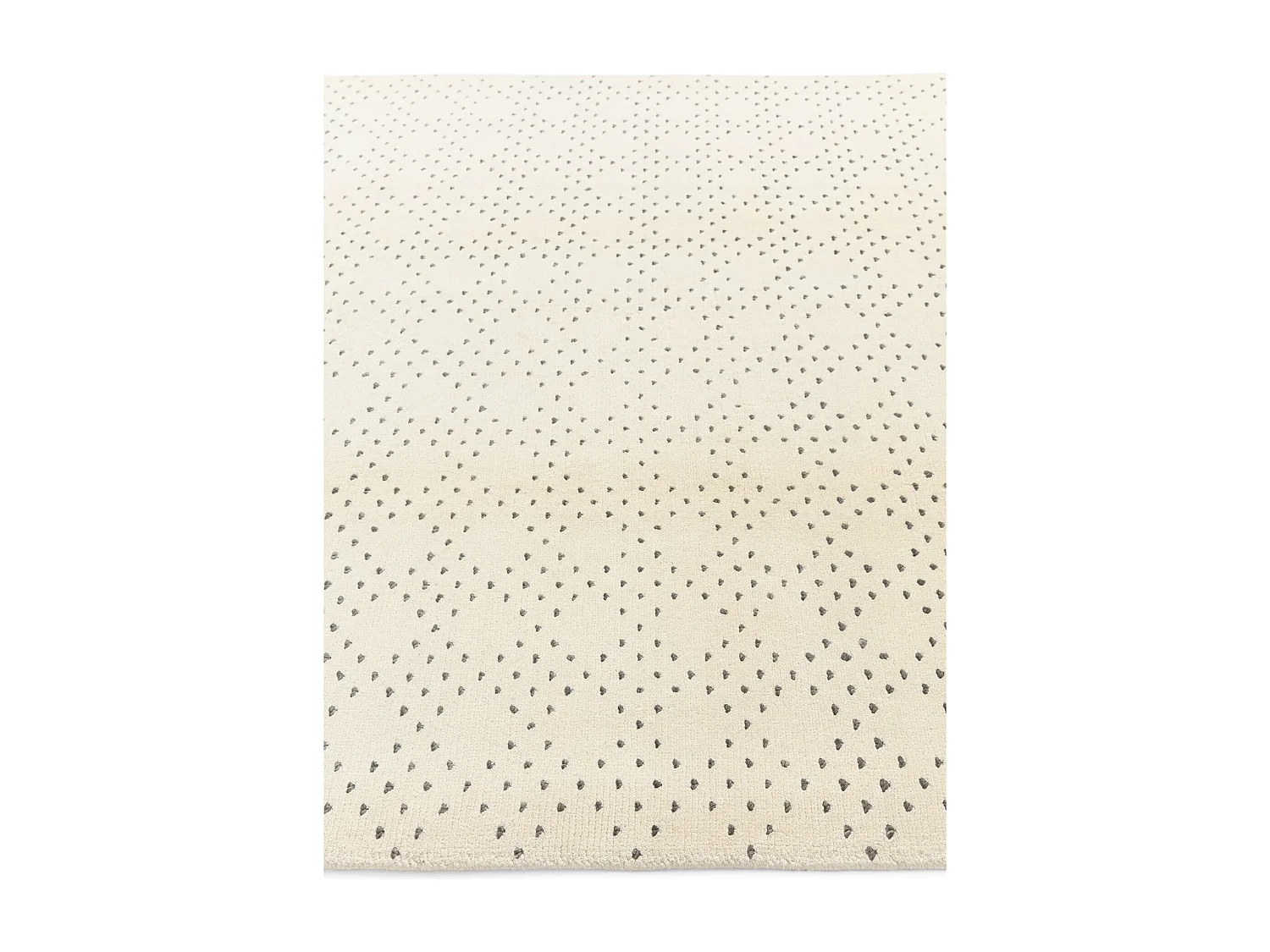 Tapis de laine 170x241 beige Darya